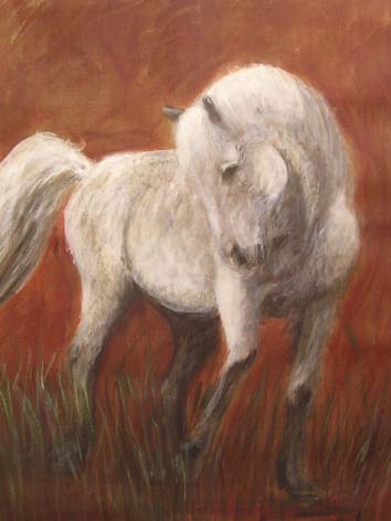 cheval blanc