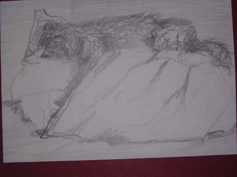 chien